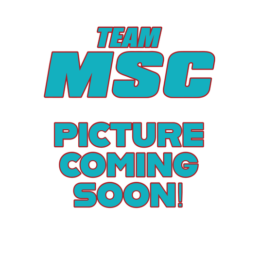 TEAM MSC | POLARIS ACE | WINDSHIELD 2016-UP