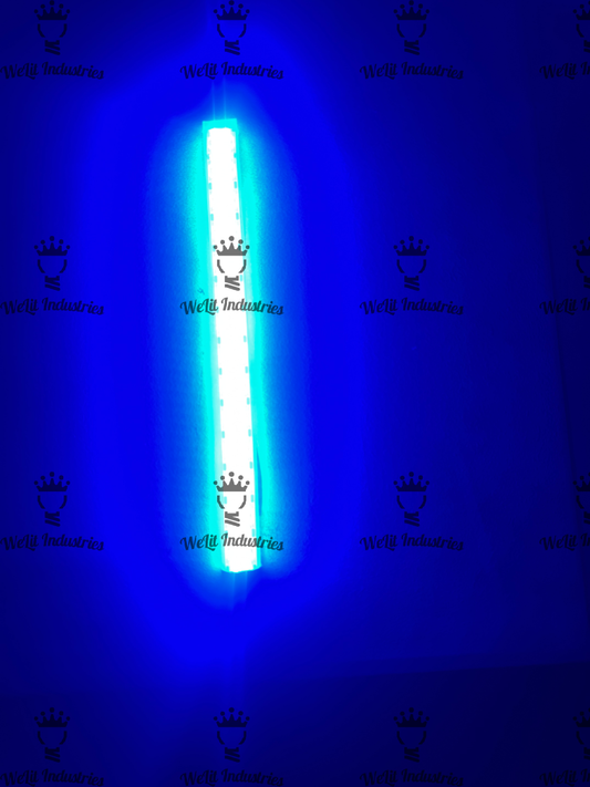 HIGH INTENSITY 1FT LED STRIP