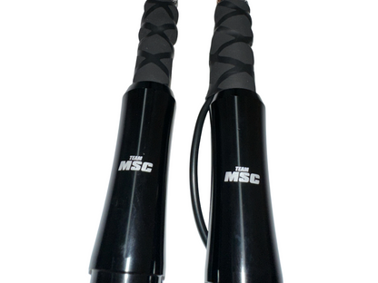 TEAM MSC - LED WHIP LIGHTS - PAIR