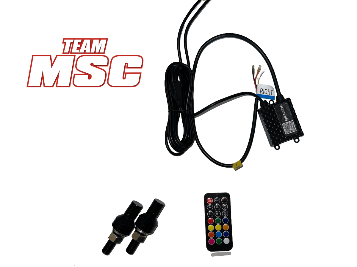 TEAM MSC - LED WHIP LIGHTS - PAIR