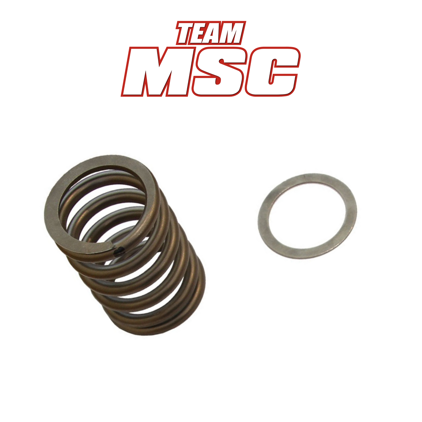 MSC STAGE 1 PRIMARY CLUTCH SPRING & WASHER - CFMOTO CFORCE